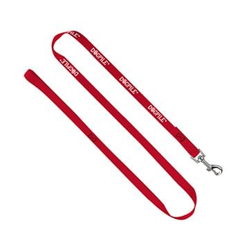 3/4" Smooth Nylon Pet Leash with Bright Metal Snap Hook